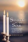 Shabbos in My Soul